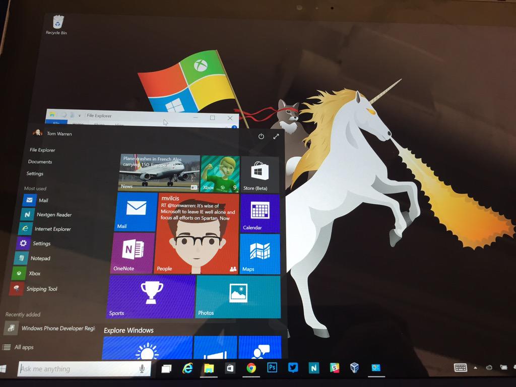 gato ninja é oficialmente o mascote do Windows 10, e piadas não faltam -  Windows Club